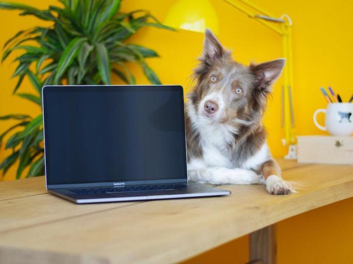 Why Sending Pitches Is Important And How Not To Give Up