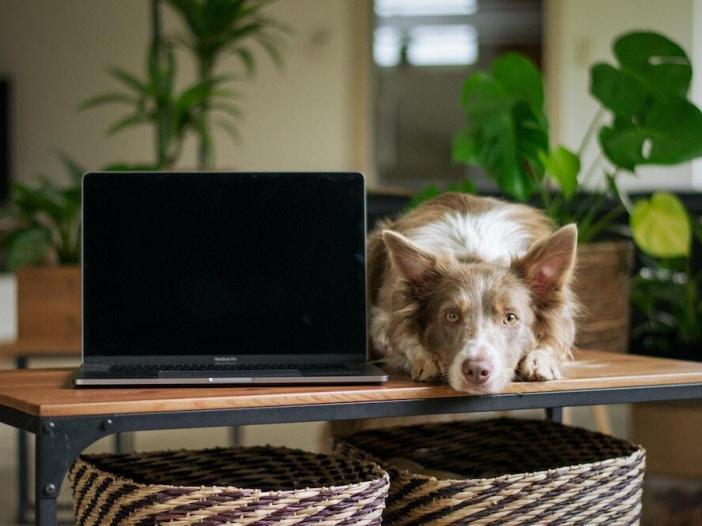 How To Write Personal Essays (And Still Have A Family Left To Write About)