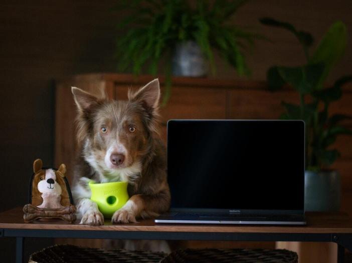 How to Handle Sick Days When You’re Self-Employed