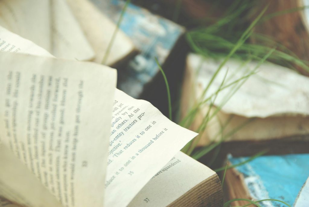 An open book in soft focus, inviting the question: what is a novella?