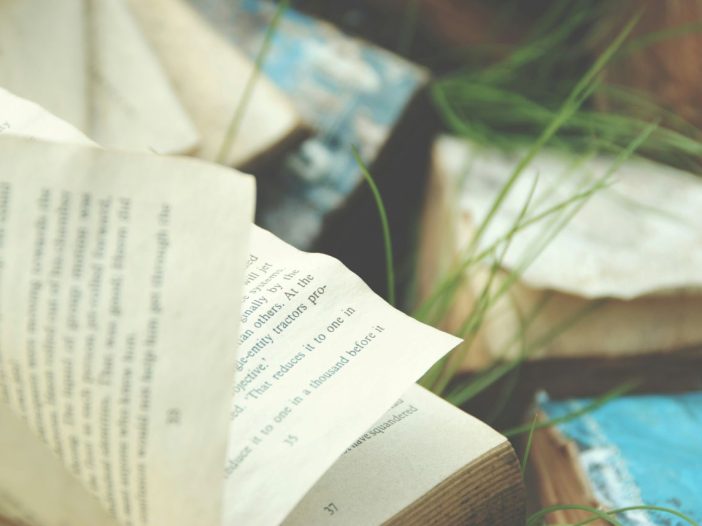 An open book in soft focus, inviting the question: what is a novella?